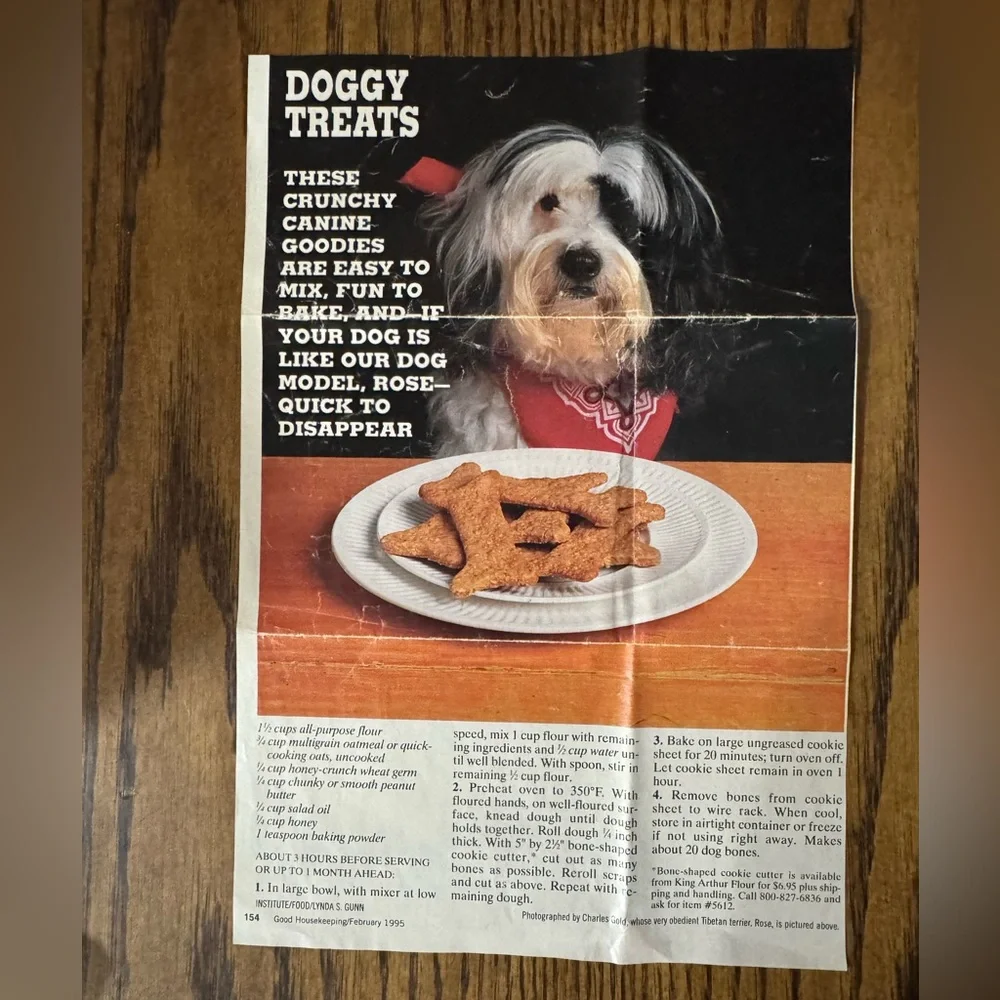 Blue Cookie Cutter with Recipe Cards and Felt Tip Pen Make your own dog treats